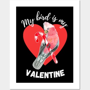 My Bird is My Valentine - Galah Posters and Art